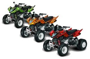 Arctic Cat DVX300 ATV Custom Graphic Kit - All Years