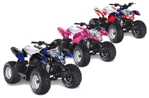 Polaris Predator 50 ATV Custom Graphic Kit - All Years