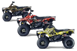 Polaris Trailboss 330 ATV Custom Graphic Kit - 2004-2009