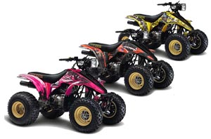 Suzuki LT 230R ATV Custom Graphic Kit - All Years